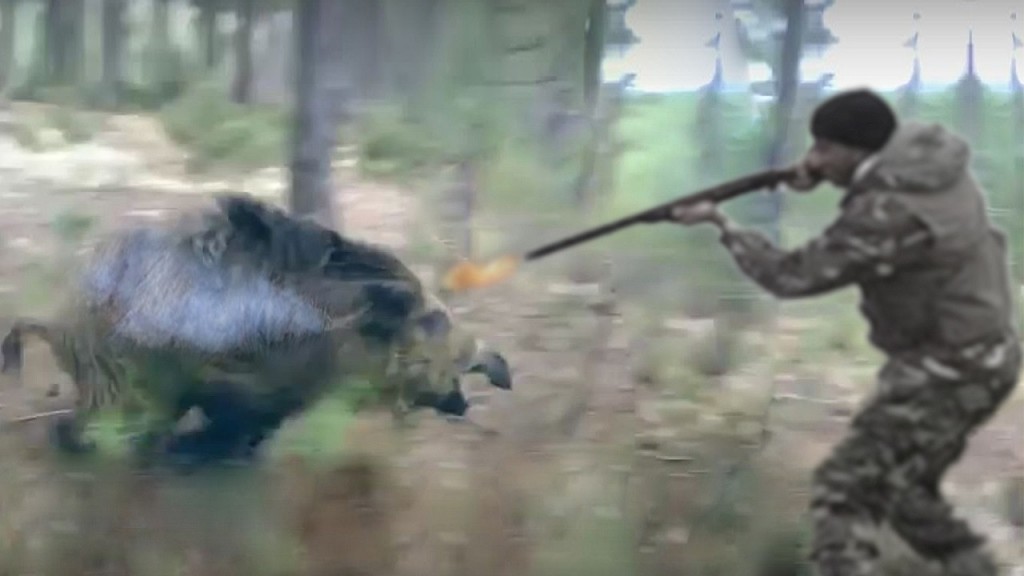 Vidéo chasse aux grands gibiers en Pologne Chasse Passion