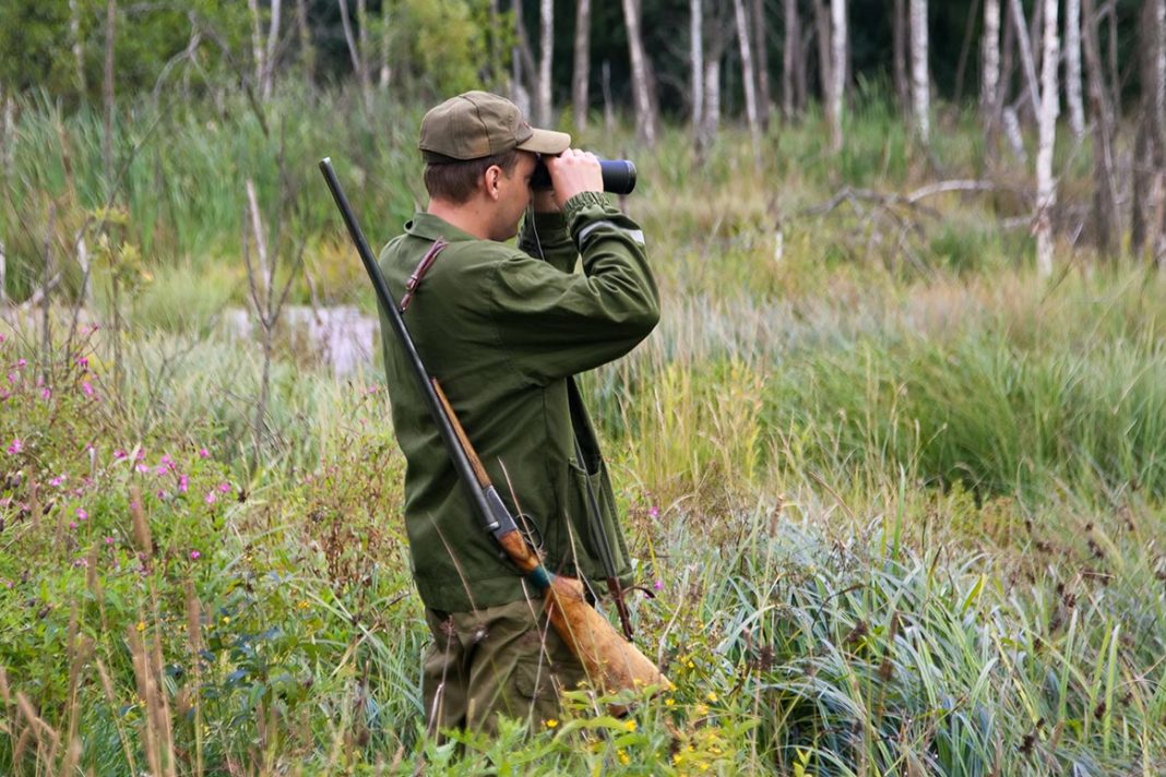 Merci Dappeler Un Braconnier Un Braconnier Chasse Passion