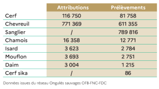 Bilan Des Pr L Vements Des Ongul S En Chasse Passion