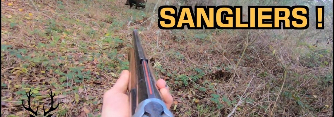 Vidéo Chasse aux sangliers et chevreuils Chasse Passion