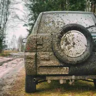 sanglier écrasés en 4x4