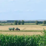 agriculteur maïs
