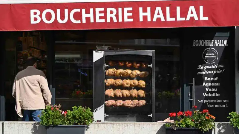 boucherie-hallal