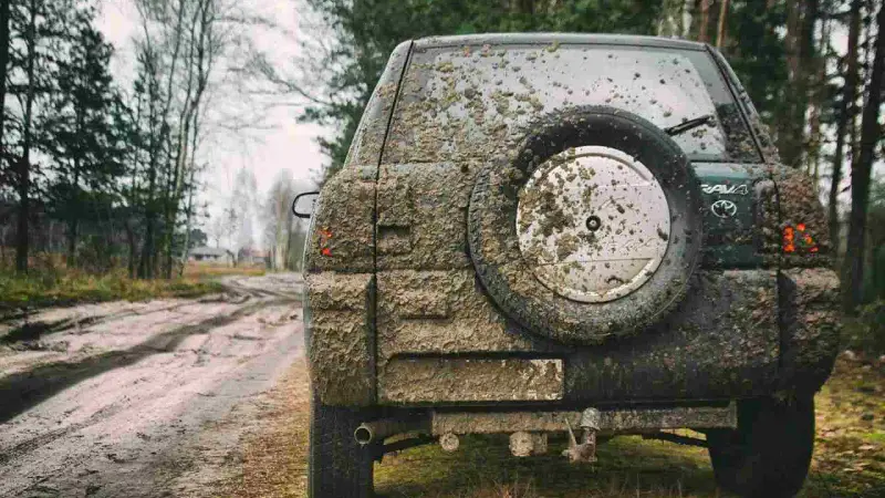sanglier écrasés en 4x4