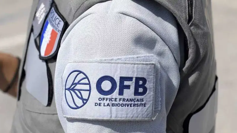 Cyberattaque à l’OFB : l’établissement a officiellement reconnu un nouveau piratage