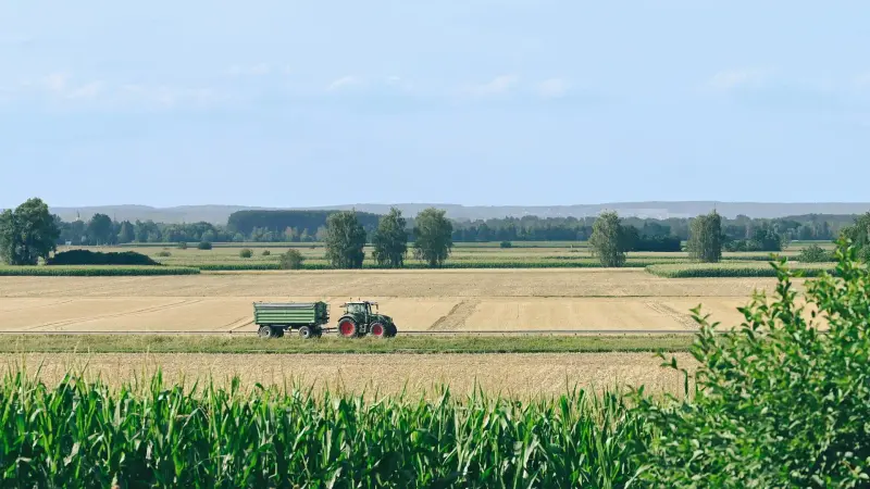 agriculteur maïs