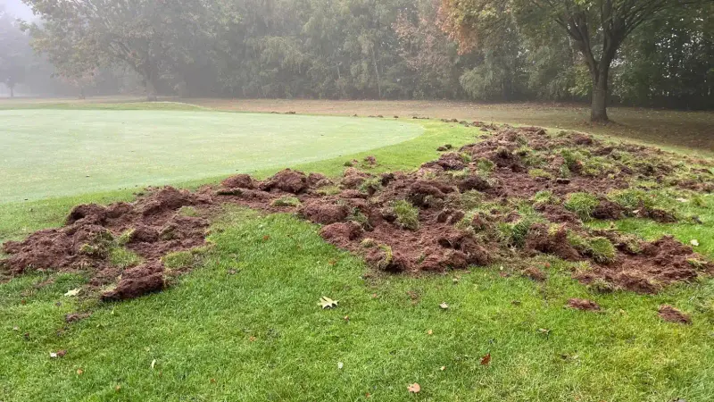 golf saint quentin mesnil