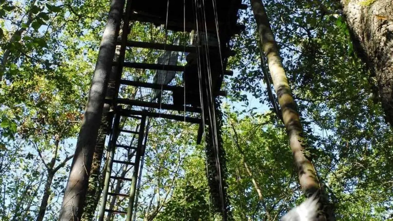 Un chasseur touché par un tir de son fils dans une palombière de Dordogne