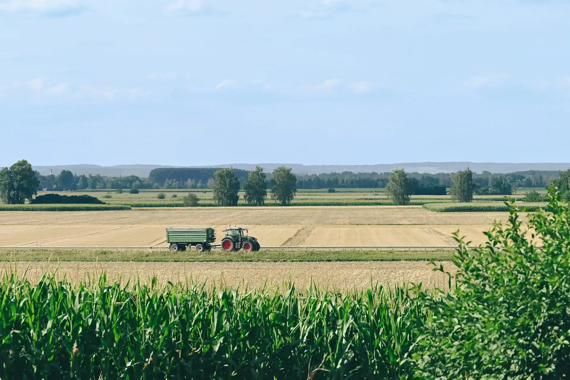 agriculteur maïs