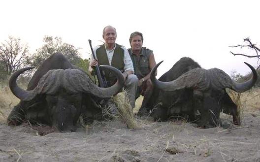 Le roi Juan  Carlos   la chasse  l l phant Chasse Passion