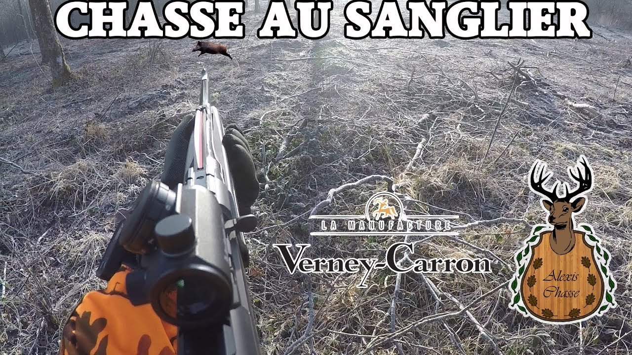 Vidéo : au cœur de la battue avec Alexis chasse