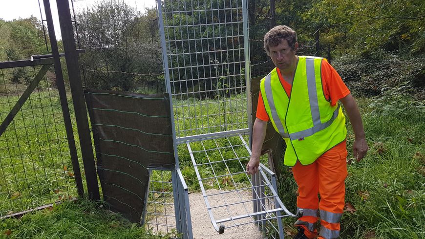 Le sanglipass censé réduire les accidents avec les sangliers sur l'autoroute