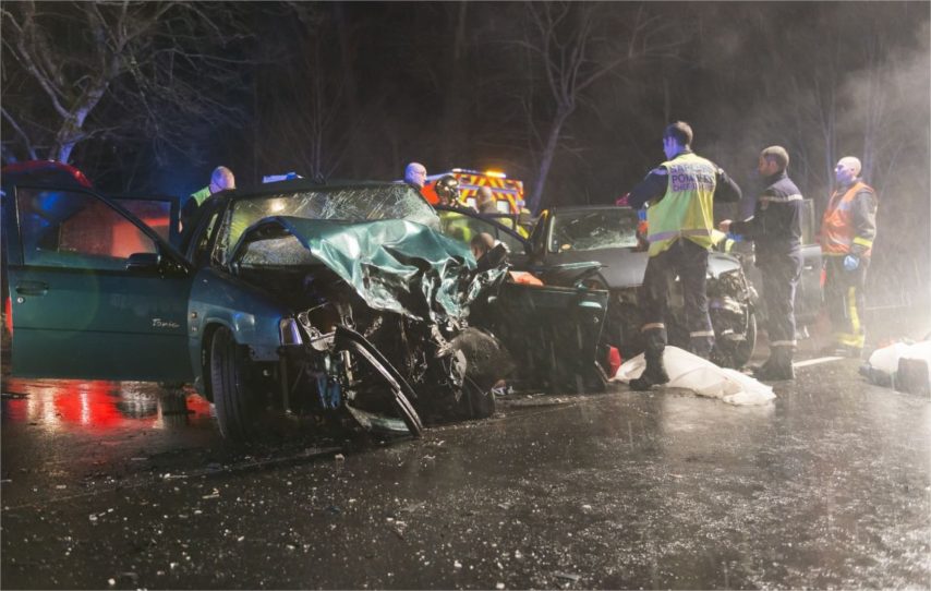 Collision mortelle entre une voiture et sanglier en forêt de Fontainebleau.