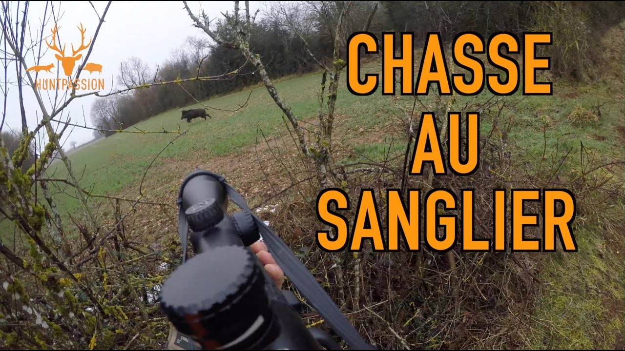 Vidéo : chasse aux sangliers avec la HuntPassion