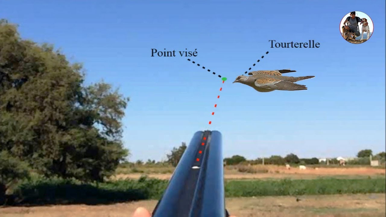 Vidéo : point visé et point touché : explications