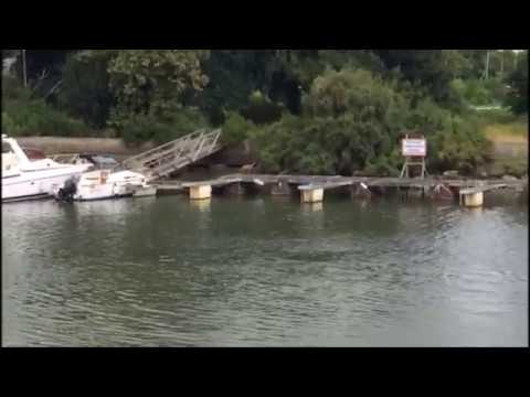 Vidéo : une chevrette traverse le bassin d’Arcachon à la nage