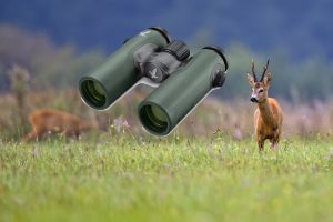 Préparez les chasseurs de demain, offrez une carabine Gamo à vos