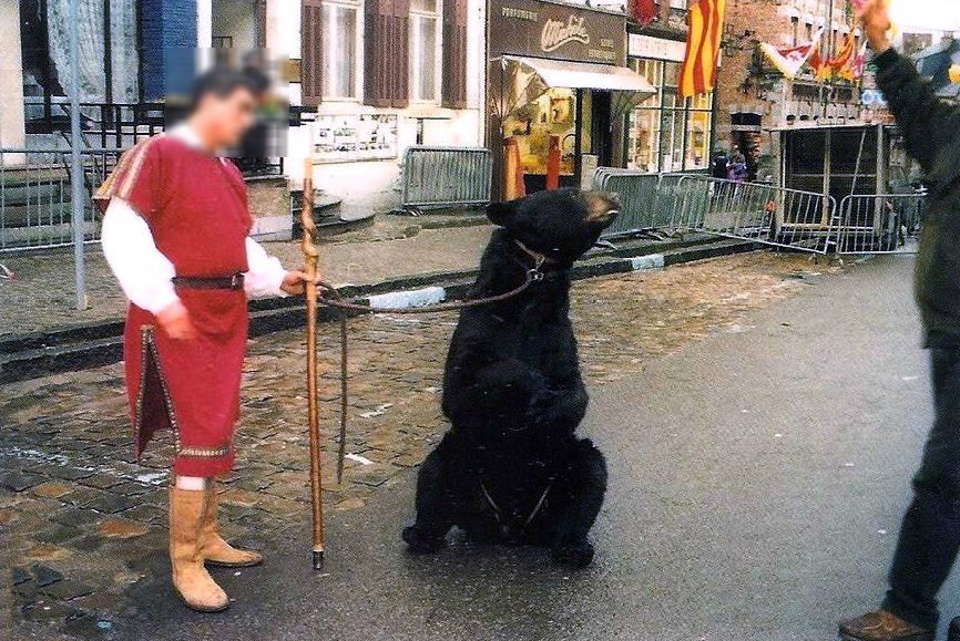 Des associations de défense des animaux tentent de faire interdire un spectacle d’ours