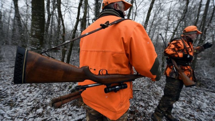 Comment Bien Tirer En Battue - Chasse Passion