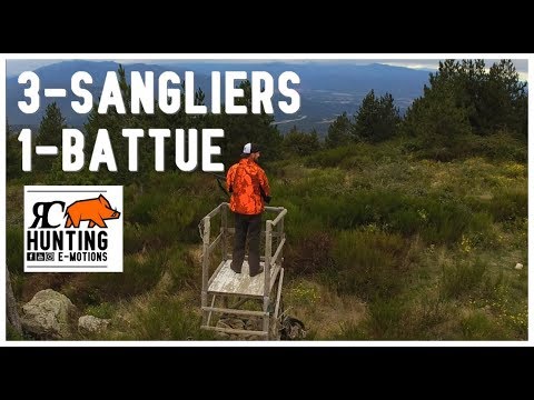 Vidéo : belle battue aux sangliers dans les pyrénées