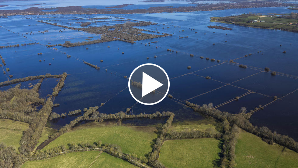 Vidéo : le lac de Grand Lieu, une zone humide d’exception