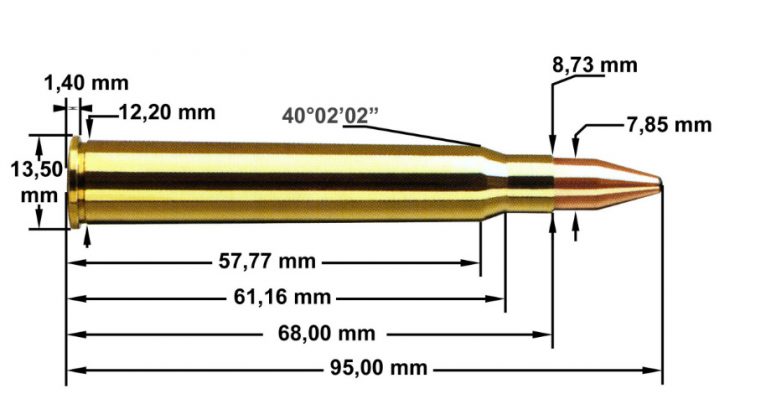 Le Top 10 Des Calibres Les Plus Utilisés En Battue - Chasse Passion