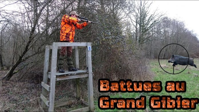 Vidéo : Jolie Vidéo De Chasse En Battue Aux Grands Gibiers (sangliers ...