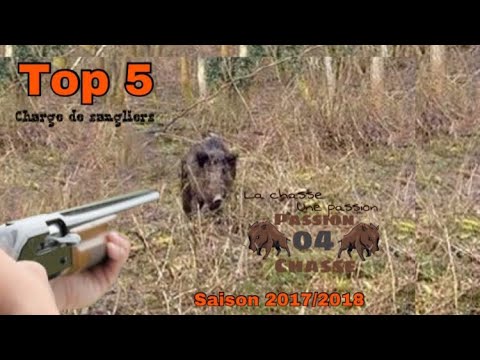 [Vidéo] Top 5 charges de sangliers