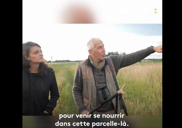 [Vidéo] le reportage Vrai ou Fake de Franceinfo sur la chasse