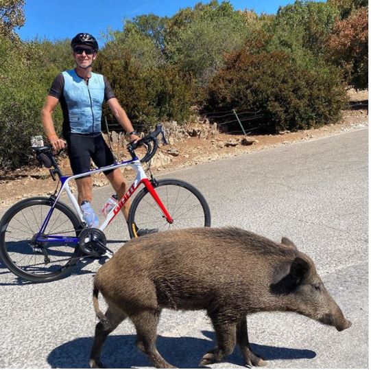 Denis Brogniart se prend en photo avec un sanglier en Vaucluse