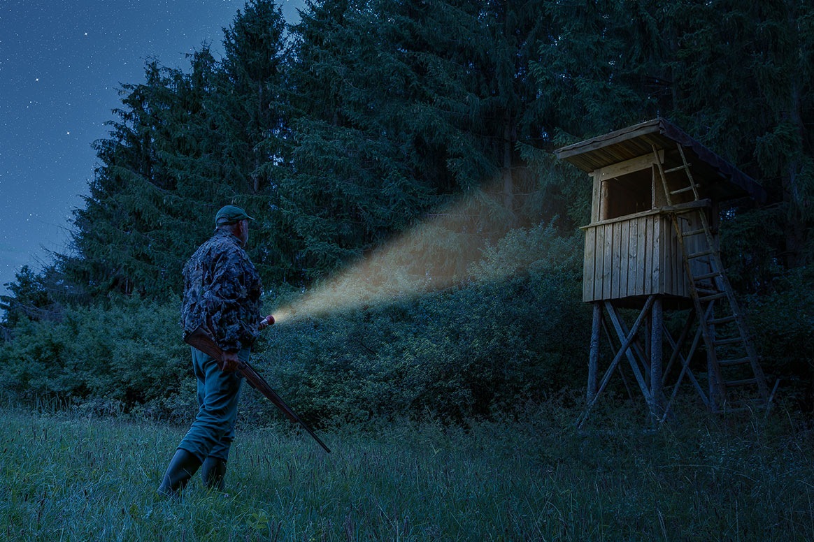 Des braconniers lourdement condamnés