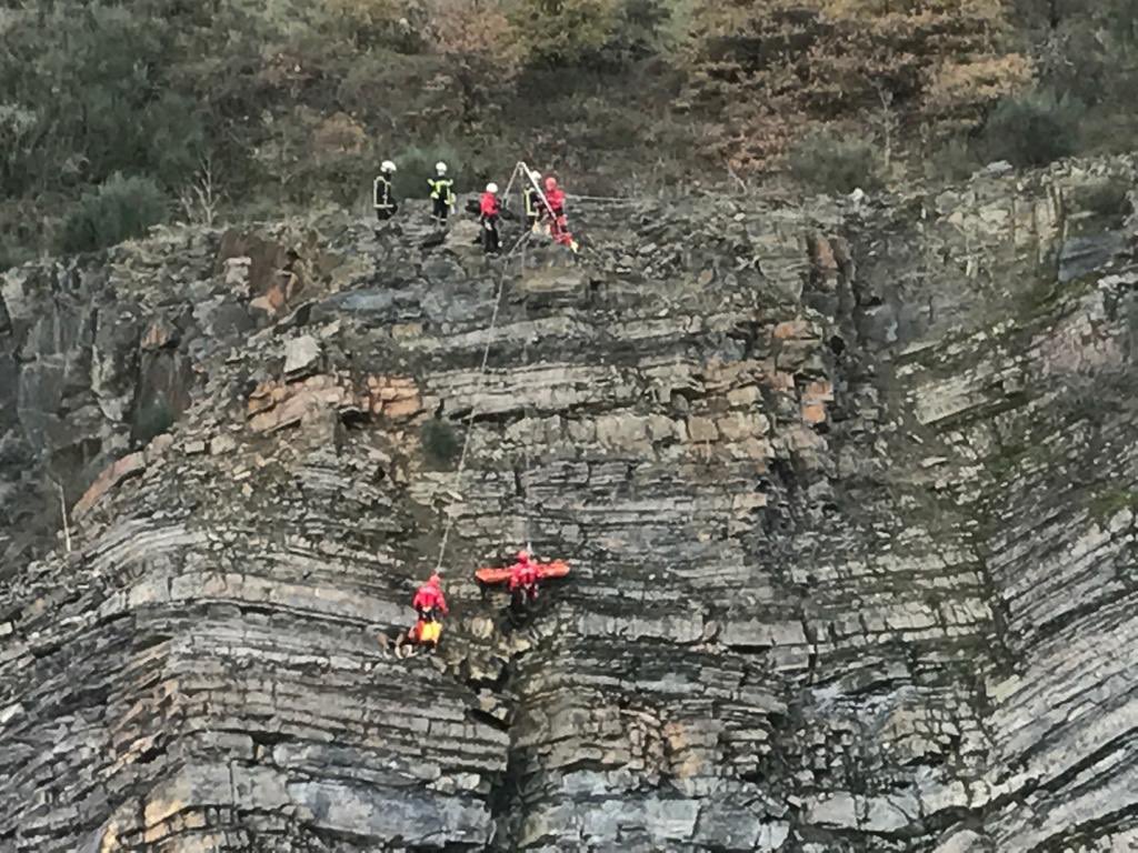 2 chiens de chasse sauvés par les pompiers