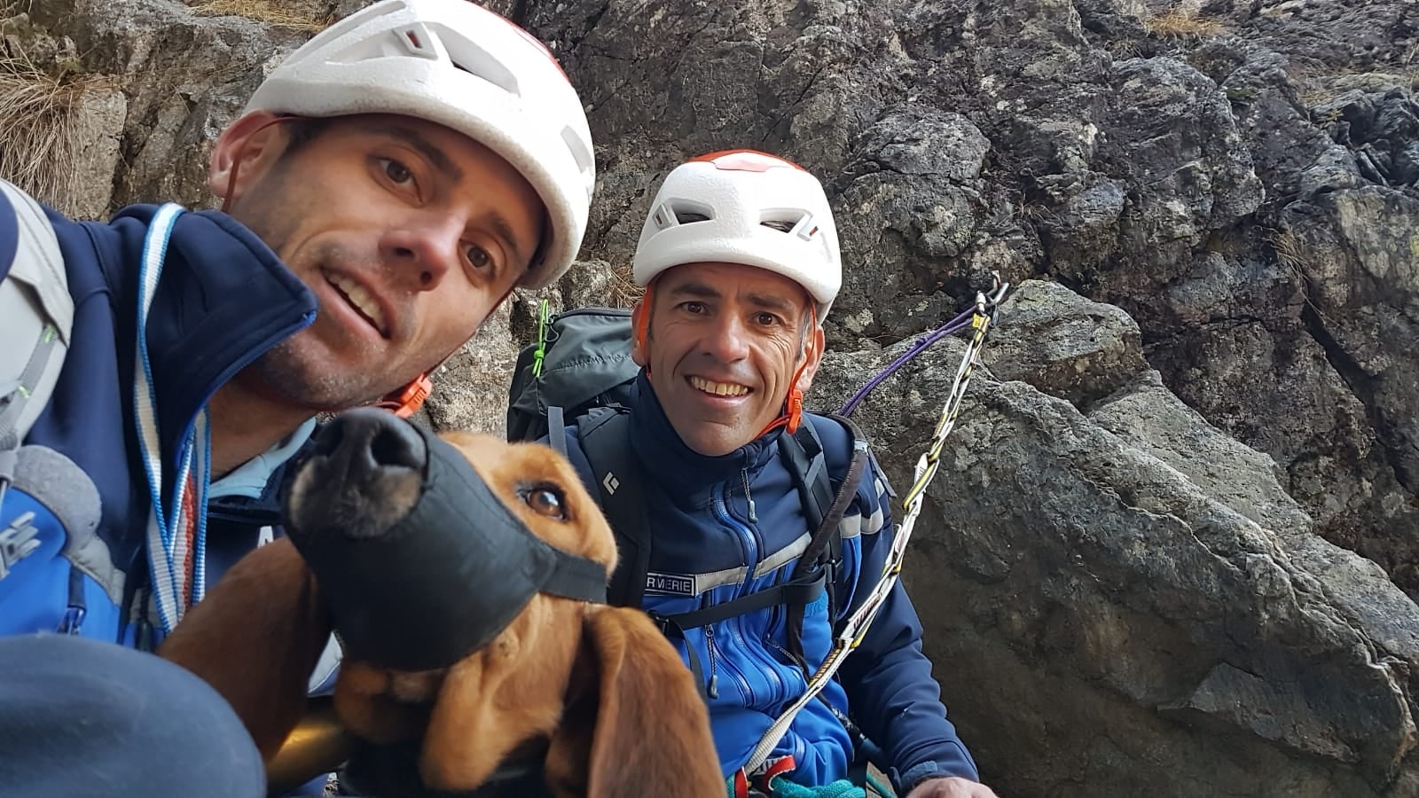 Hautes-Pyrénées : le PGHM sauve un chien de chasse