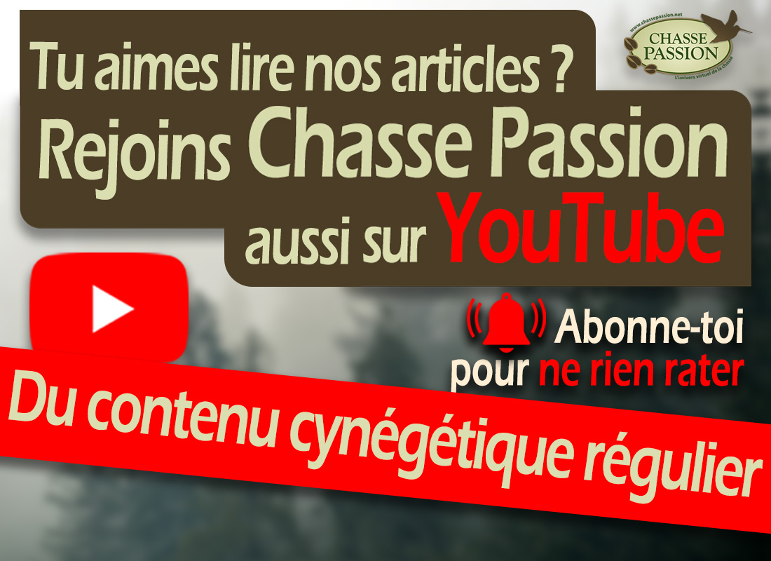 Chasse Passion est aussi sur YouTube !