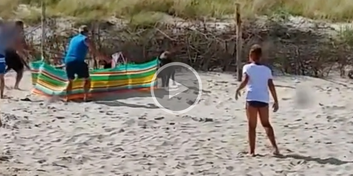 [Vidéo] Un sanglier sème la panique sur une plage et charge des touristes