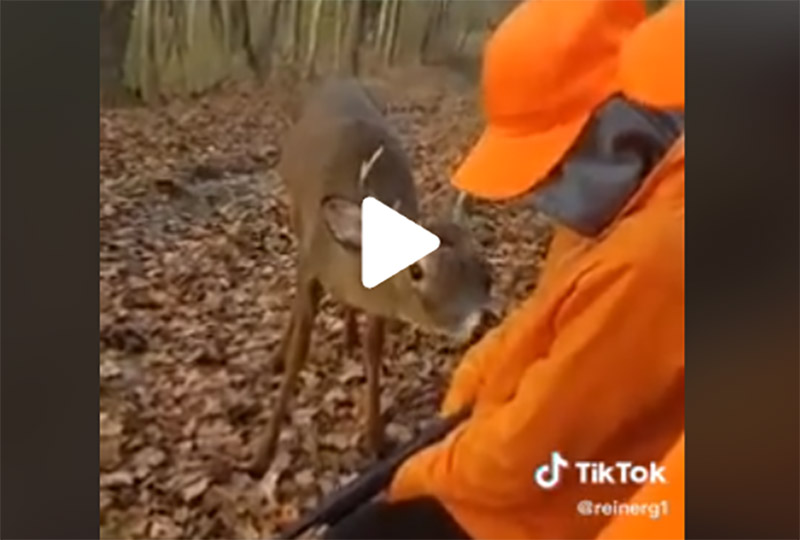 [Vidéo] En pleine chasse un cerf rend une incroyable visite à un père et son fils