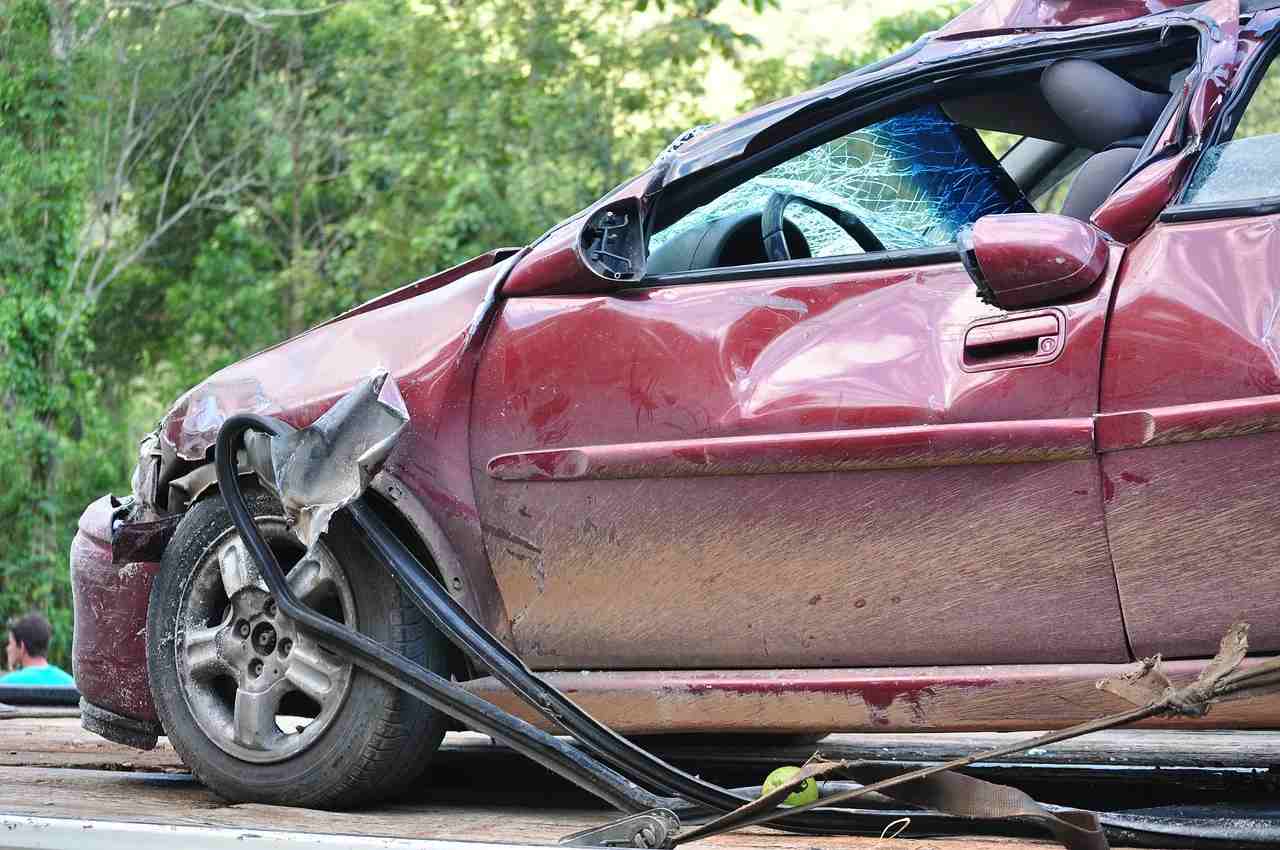 accident grand gibier