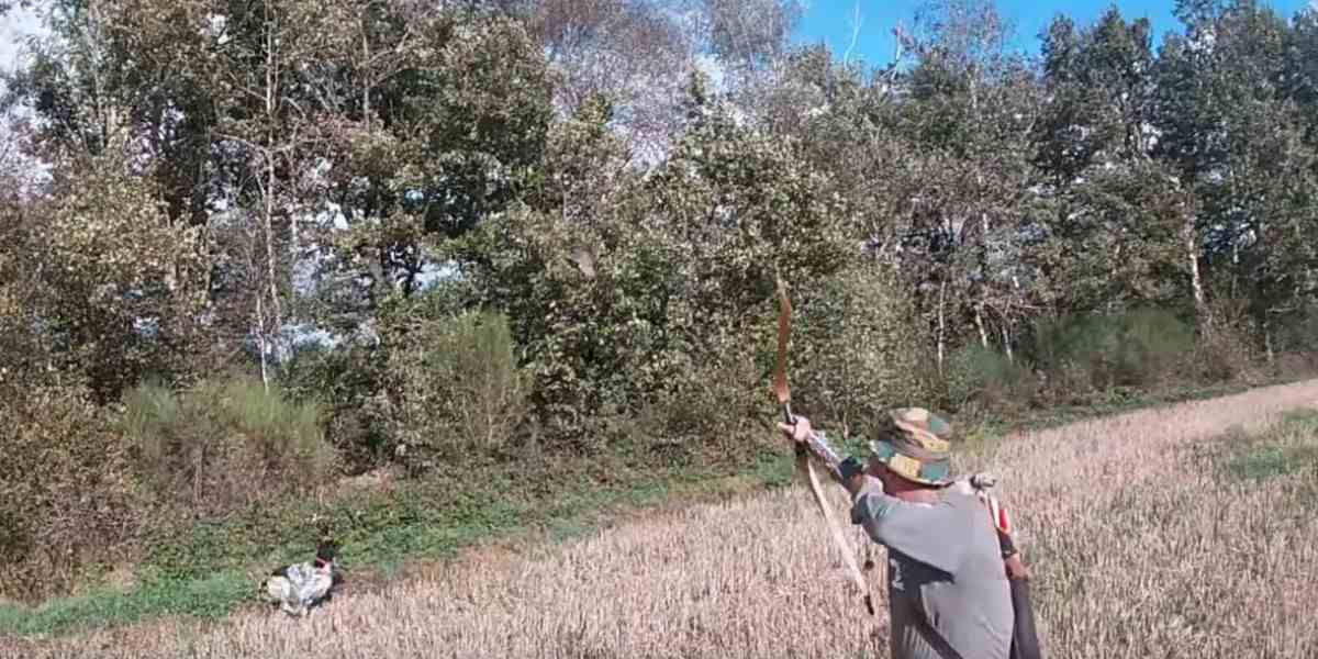 chasse au petit gibier à l'arc