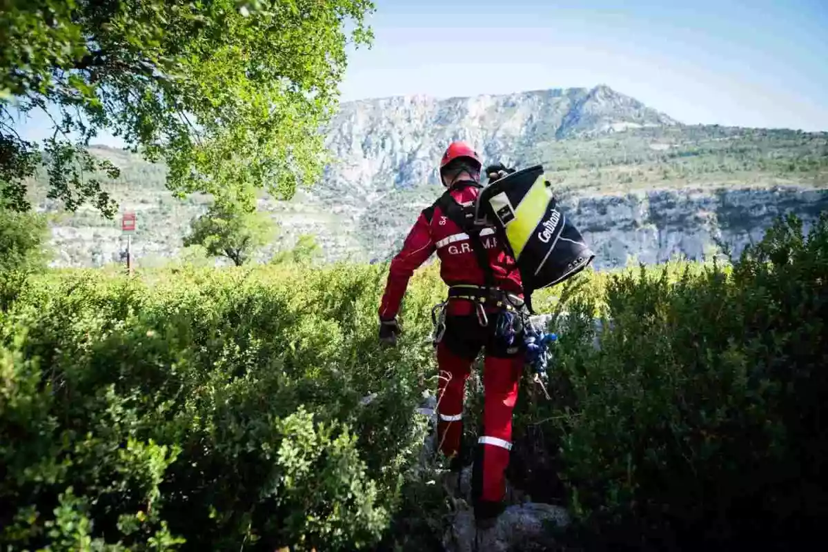 Deux chiens de chasse coincés au bord d’une falaise sauvés par les pompiers