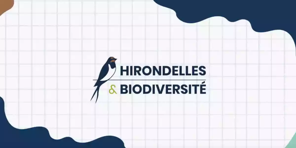 projet hirondelles et biodiversité