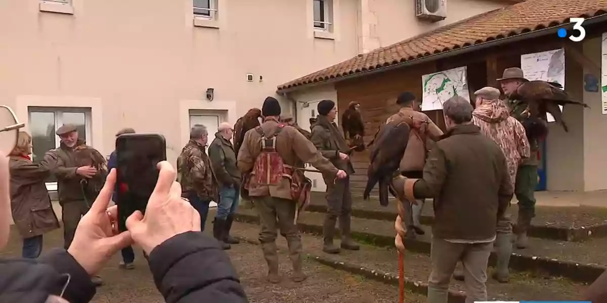 chasse à l'aigle