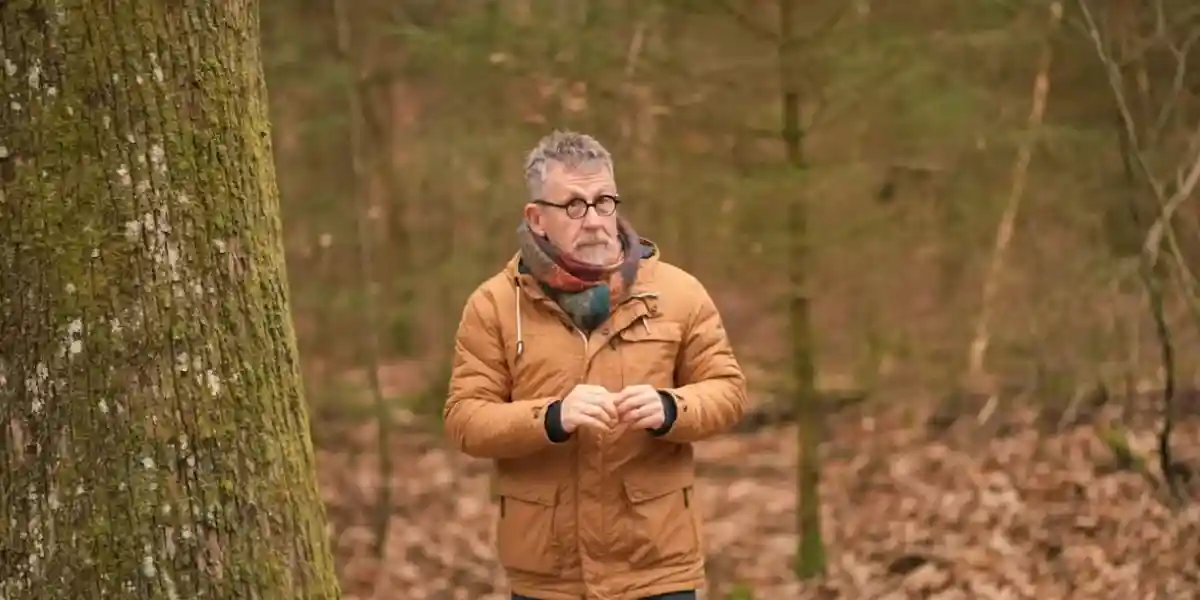 Jamy sur les forets de France