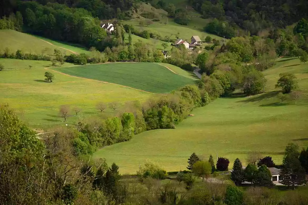 observatoire de la haie