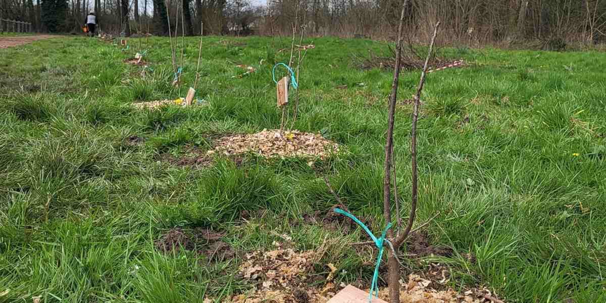 Plantations et cadeaux au programme des écoliers aux côtés des chasseurs de la Somme