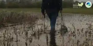 Marais de la Dives