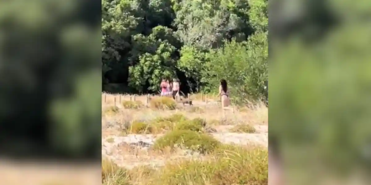 jeune femme en bikini poursuit des sangliers