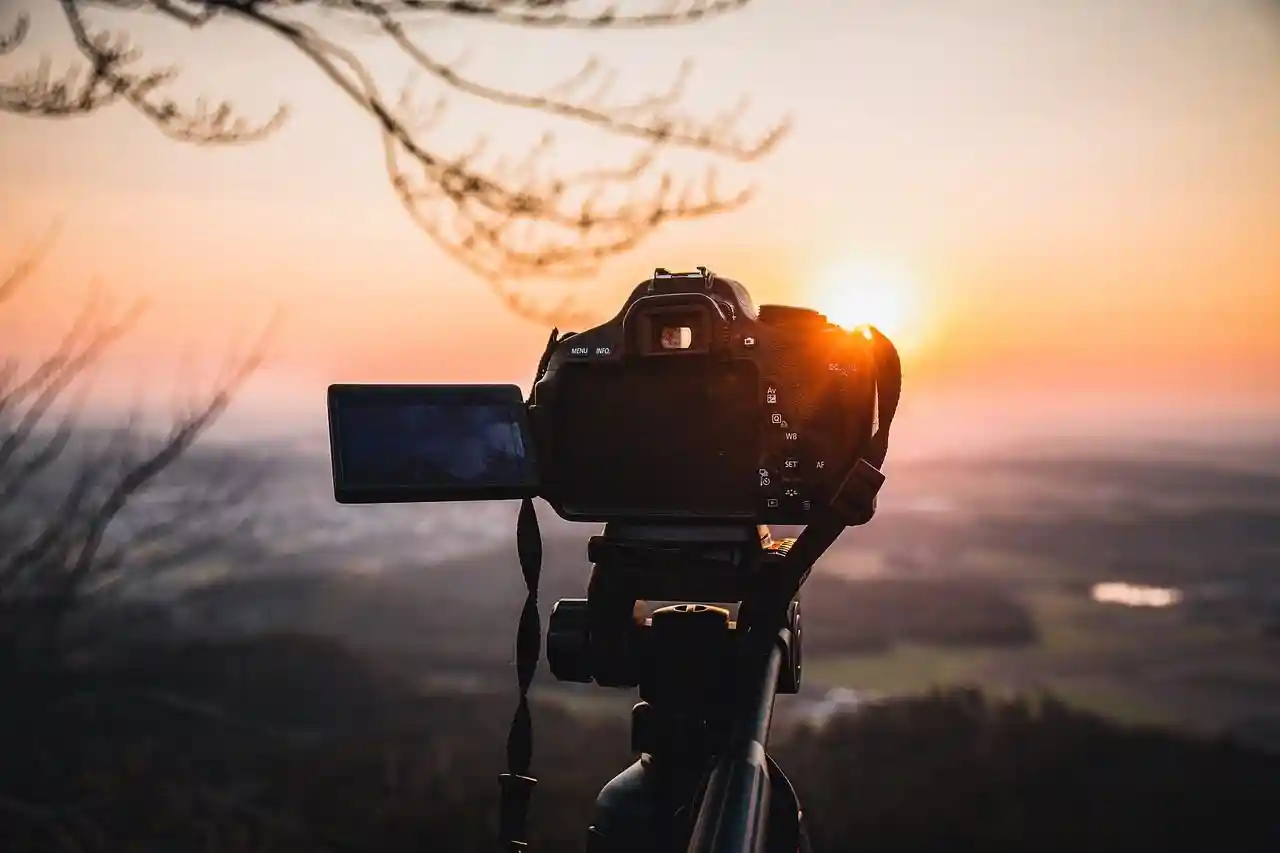 Photographie animalière