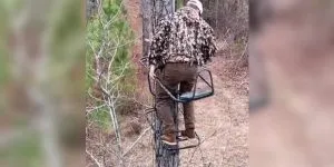 [Vidéo] Un chasseur monte sur son tree-stand mais oublie quelque-chose…