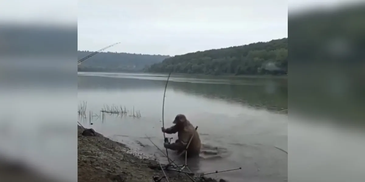 [Vidéo] Quand tu pars pêcher mais que ce n’est pas ton jour