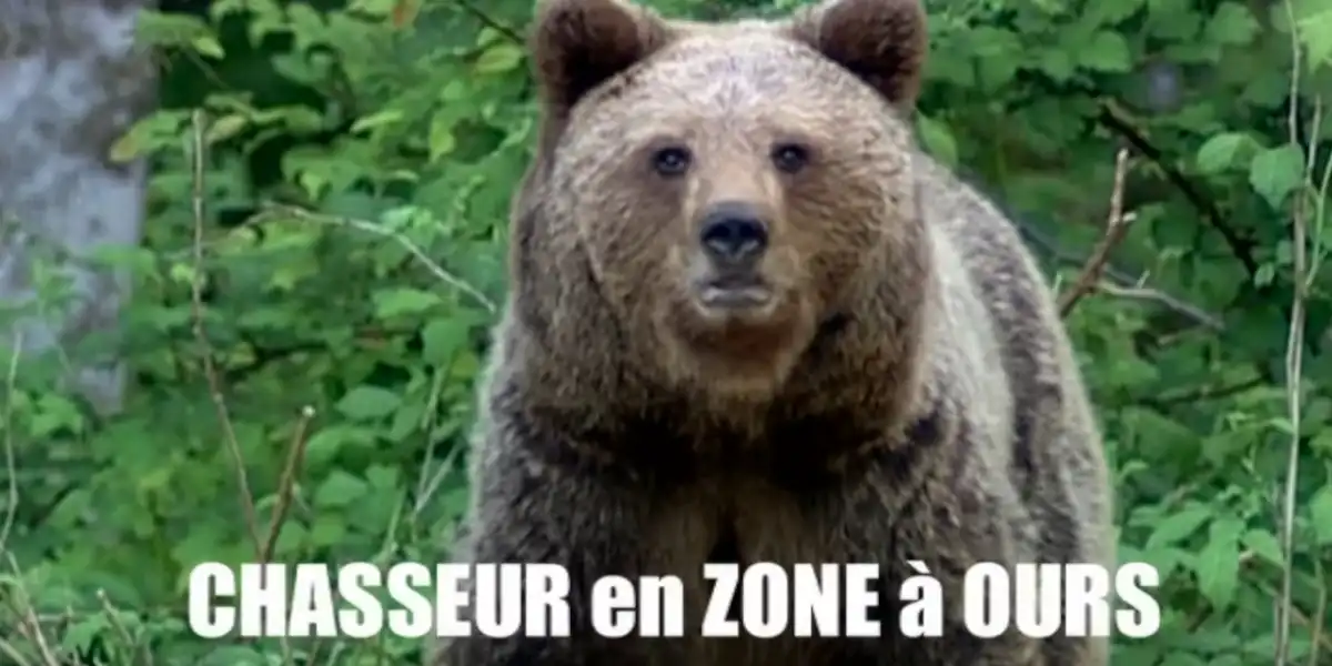 chasser en zone à ours